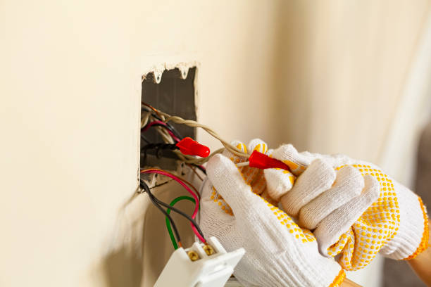 Best Surge Protection Installation  in Gateway, FL